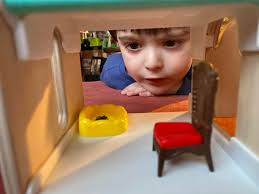 Loss of Pet Jumping Spider, Cinnabon