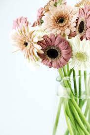 Pin On Flowers