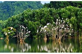 Ce parc zoologique et botanique vous permet avant tout de découvrir plus d'un millier d'oiseaux dont 215 espèces différentes de tous les continents répartis sur 6 hectares généreusement ombragés et. Excursion Ninh Binh Voyage A La Baie D Halong Terrestre Circuit Nord Vietnam Jardin Aux Oiseaux 2 Jours