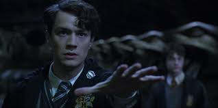 That's why little harry potter got a worthy opponent in lord voldemort. Plot To Open The Chamber Of Secrets Harry Potter Wiki Fandom