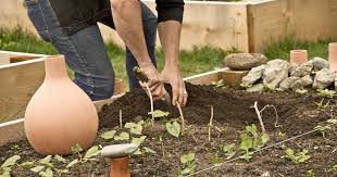 Gartenbewasserung Mit Ollas Gartenbewasserung Pflanzen Hochbeet