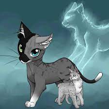 Leader 4 Midnightstar Her Parents Cherrynose And Moonclaw Her Kits Lynxfur Her Born In Moon Clan Warrior Cats Art Warrior Cats Warrior Cats Clans