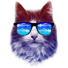 Clip of trihex playing super mario maker 2. Cool Cat Hd Png Free Cool Cat Hd Png Transparent Images 54269 Pngio