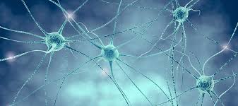 Ab samstag öffnen dort gastronomie und einzelhandel. Forschung Universitatsklinikum Tubingen