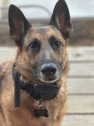 She's a girl but ig it's time for someone to guess the name 😭