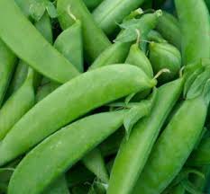 While sugar snap peas can grow in partial shade, they'll be sweeter and more . Sugar Snap Pea Peasug Awapuni Nurseries New Zealand