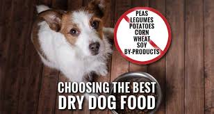 It looks good enough for us to eat. Dilated Cardiomyopathy And The Best Dog Food Without Peas Legumes Or Potatoes