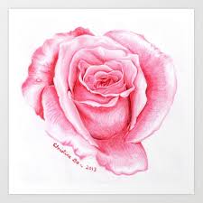 Maybe you would like to learn more about one of these? Pink Rose Drawing Art Print By Spoondraws Society6
