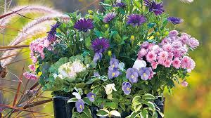 These fall container garden ideas are full of great inspiration. Cool Colored Fall Container Ideas Garden Gate