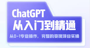 ChatGPT从入门到精通从0-1专业操作，完整的变现项目实操（视频+ ...