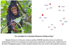 Image result for Scepocarpus trinervis