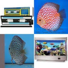 Aquarium Light White And Blue Led Fresh Water Fish Tank Light For 36 To 44 Inch Tank Fish Tank Lights Fresh Water Fish Tank Fish Tank