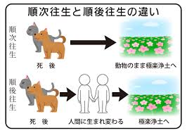 犬 の 死後 の 世界