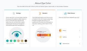 The New 23andme Experience A Look At Our Trait Reports