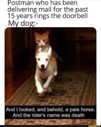 Postman Who Has Been Delivering Mail For The Past 15 Years Rings The Doorbell And I Looked And Behold A Pale Horse Ifunny Pale Horse The Past Behold A Pale Horse