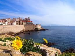 Hotel bord de mer antibes. Dandelion Antibes French Riviera Free Photo On Pixabay