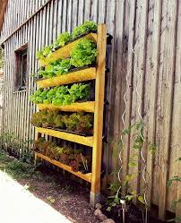 Salat Mal Anders Pflanzen Garten Garten Hochbeet Gartengestaltung