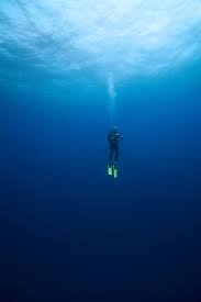 Scuba Diver Tofo Mozambique Underwater Photography Scuba Scuba Diving