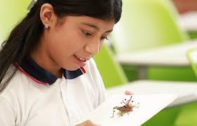 Los clubes de ciencia se expanden y llegan al departamento de Jutiapa