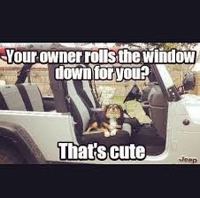 Jeep Wrangler Quotes Haha Jeep Memes Jeep Quotes Jeep Humor