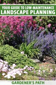 Explore low maintenance shrubs to plant in the fall for gorgeous spring blooms. Guide To Low Maintenance Landscaping Gardener S Path