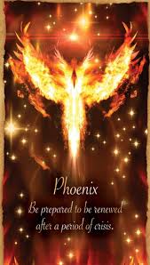 Phoenix bird symbolizes renewal and resurrection. Success Quotes Fortune Reading Cards Phoenix Oracle Fortune Guidance By Mo Cards Fortune Oracle Phoen Phoenix Quotes Phoenix Bird Phoenix Tattoo