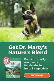 Get Dr Marty S Nature S Blend In 2020 Dog Food Recipes Canine Care Food Animals