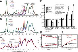 Central vacuole prominent organelle in older plant cells; Fig 2 Sensitivity Enhanced Solid State Nmr Detection Of Expansin S Target In Plant Cell Walls Pnas