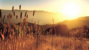 Two russian black cat kittens inside bamboo basket hd kitten. Hd Wallpaper Beautiful Photos Of Nature Scenery 1920x1080 Mountain Sky Wallpaper Flare