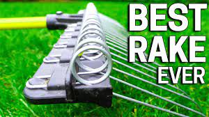 All they need is a bit of energy and they can get in a workout while making the lawn look its best. Best Lawn Rake Raking Leaves Dethatching Fall Cleanups Youtube