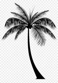 Tall palm tree silhouette palm. Palm Tree Silhouette Real Palm Trees Silhouette Hd Png Download 1948x2675 3248765 Pngfind