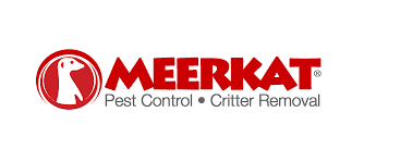 We have been in the business for a long time since 1993 and our customer. Top 10 Best Pest Exterminators In Nassau Ny Angi