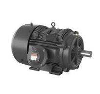 1MB21212CB113AG3 - ABB NEMA XP100 Motor, 25HP, 1800RPM, 575V ...