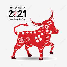 牛の幸せな中国の旧正月2021年 ox バッファロー アプリコットの花画像素材の無料ダウンロードのためのpngとベクトル chinese new year card chinese new year greeting happy chinese new year