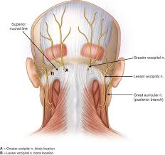 Head pain that increases with coughing or movement. Headache And Neck Pain Is It Possible That Nerve Compression Is To Blame