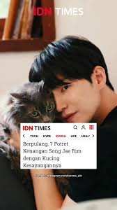 ソンジェリム 猫