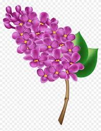 See purple flower background stock video clips. Purple Flower Clipart No Background Purple Flower Clipart No Background Free Transparent Png Clipart Images Download