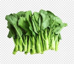 (what time?) kailan is shortened in tagalog conversation and online as kelan. Spinach Komatsuna Food Vegetable Collard Greens Vegetable Leaf Vegetable Food Leaf Png Pngwing