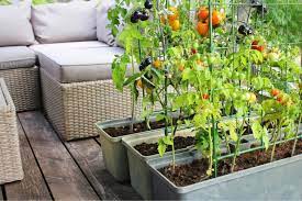 These diy vertical vegetable garden ideas can help you save your floor space and inspire you to grow more food vertically! Vertical Vegetable Garden How To Grow Up True Value