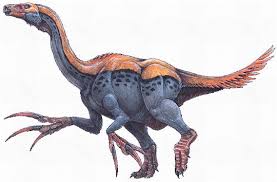 The nigersaurus had a wide muzzle filled with more than 500 teeth: A Dinosaur A Day Helicoprion What If Like Teeth Mesosaurus