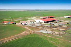 He owns around 2500 cattle and horses. Ladd Drummond Age Height Wiki Bio Ree Drummond Net Worth 2021