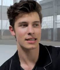 Imagine Shawn Is Doing An Interview And You Walk In The Room And He Looks At You Like This Shawn Mendes Memes Shawn Mendes Shawn