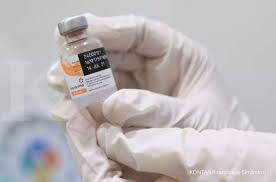 Последние твиты от novavax (@novavax). Vaksin Gotong Royong Tidak Akan Menggunakan Sinovac Astrazeneca Novavax Dan Pfizer