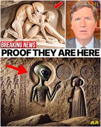 Celebrity - 🛶🗿😱 Ancient Egyptian Symbols Hidden Deep in Australia—And the Evidence Has Some Researchers Whispering About Forbidden Voyages History Never Wanted You to Know Deep in the Australian bush, far from