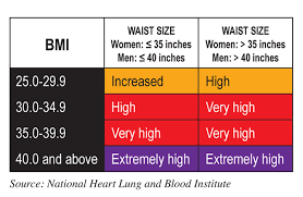 Up to 10 lbs size 1: Waist Circumference Best Measure Of Overeating Or Obese