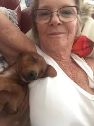 Any off your bb Love dancing? 🐶🥰😍🐾