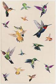 Hummingbird Ivory Animal Print Rugs Contemporary Rugs Shop Collection The Rug Company Bird Art Hummingbird Tattoo Rug Company