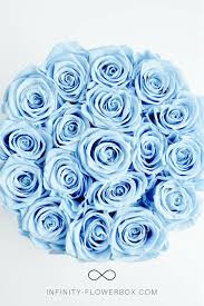 Blaue Rosen Stehen Fur Treue Und Bestandigkeit Wie Passend Infinity Flowerbox Rosen Halten Jahrelang Blaue Rosen Blaue Hochzeitsstrausse Brautstrauss Blau