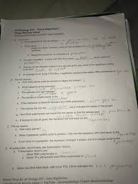 Worksheets are work 1, work dna rna and protein synthesis, dna base pairing work, honors biology ninth grade pendleton high school, dna replication work, dna replication work, dna and rna work, dna. Ap Biology 031 Gene Regulation Video Review Sheet Flashcards Quizlet Middle School Science Experiments Interactive Science Notebook Ap Biology