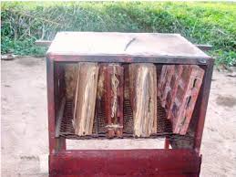 Image result for Thomandersia congolana